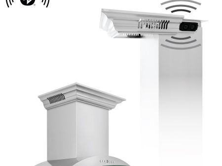 ZLINE Ducted Vent Wall Mount Range Hood in Stainless Steel with Built-in CrownSound™ Bluetooth Speakers (KNCRN-BT) Online