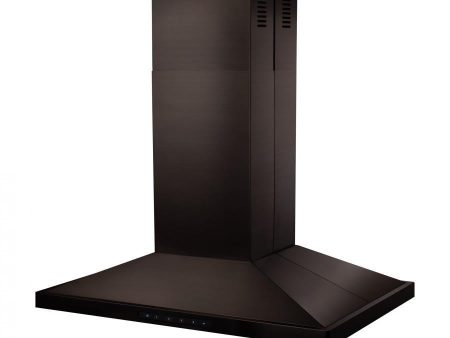 ZLINE Convertible Vent Island Mount Range Hood in Black Stainless Steel (BSGL2iN) Discount