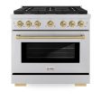 ZLINE Autograph Edition 36 in. 5.2 cu. ft. Paramount Dual Fuel Range with 6 Burner Gas Cooktop and Electric Convection Oven in Stainless Steel with Accents (SDRZ-36) Cheap