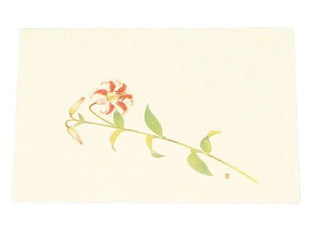 Artec Washi Paper Cream Placemat Bamboo Lily 100 pcs For Sale